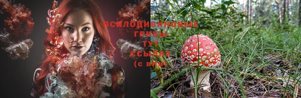 гидропоника Кинешма